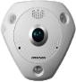 מצלמת IP עין הדג 6MP
